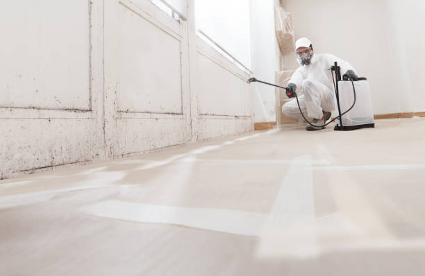 24/7 Emergency Mold Remediation experts in Baxley, GA