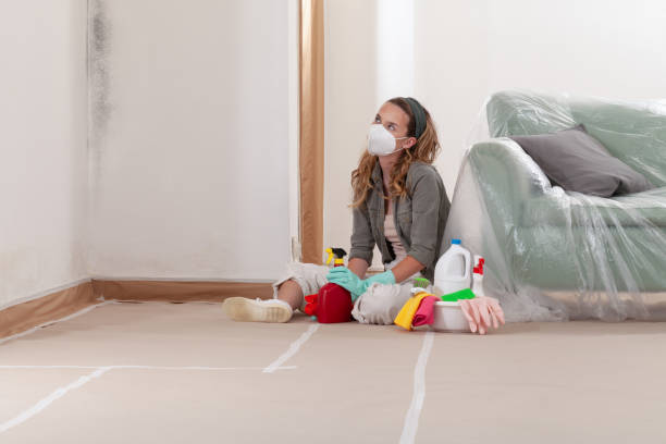 Reliable Mold Remediation contractor in Baxley, GA by 24 Hour Mold Removal