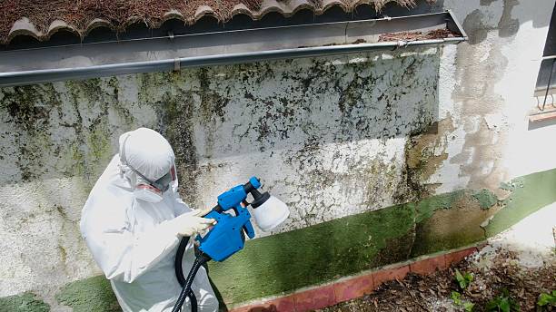 Top rated local Mold Remediation specialists in Baxley, GA